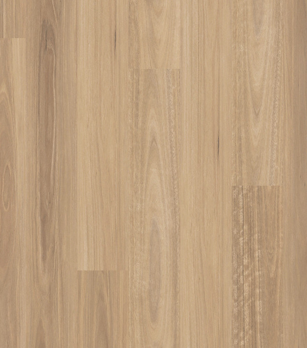 Australian Natural Lemon (Golden) Spotted Gum Hybrid Flooring