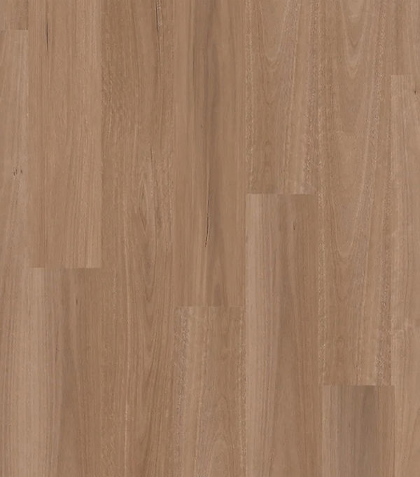 Australian Natural NSW Spotted Gum (Natural Blackbutt) Hybrid Flooring