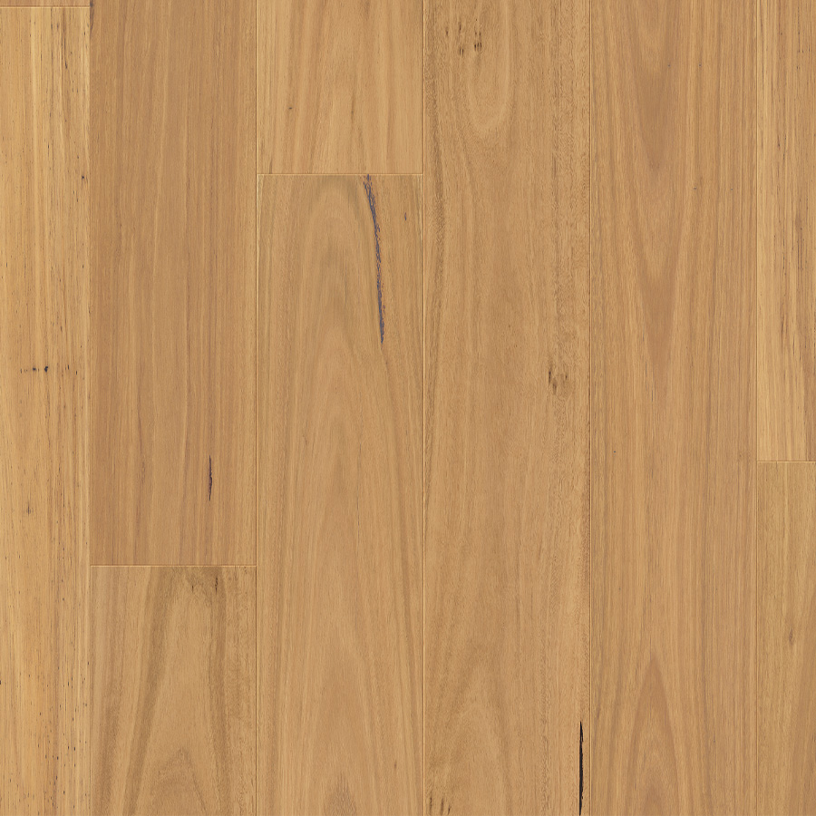 Clix XL Natural Blackbutt Laminate Flooring