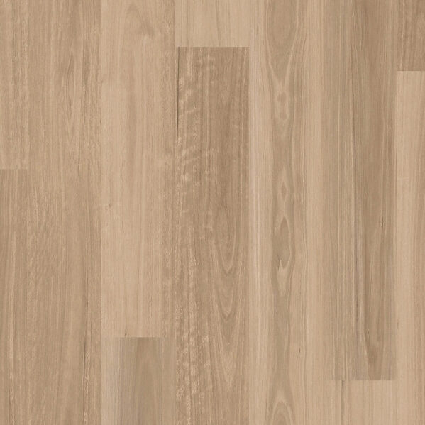 Oasis 2.5mm Coastal Blackbutt