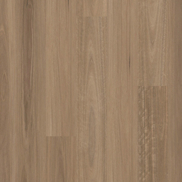 Ocean 4.5mm Northern Spotted Gum DL4508 - DL2508 - Vinyl Flooring Planks