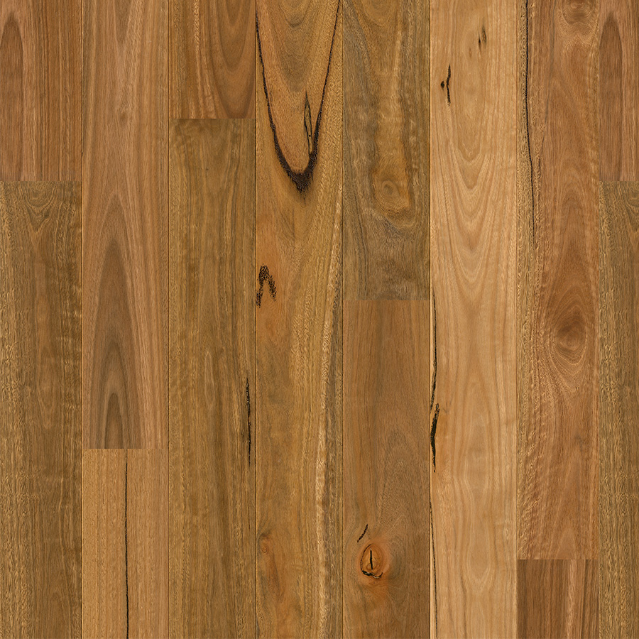 Quick-Step Amato - Spotted Gum - First timber flooring with fully waterproof surface.