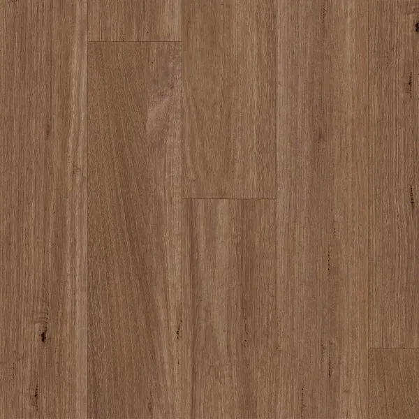 Titan XXL Spotted Gum 6mm Hybrid Flooring